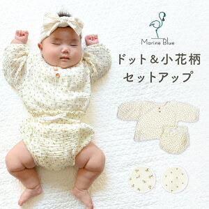 xr[ ̎q H~ Zp[g xr[  ZbgAbv  Rbg ㉺Zbg  Ԃ q  t H ~  u} Y{ Vv 킢xr[ 2_Zbg 