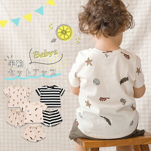 xr[ ZbgAbv j̎q ̎q  t  ㉺Zbg xr[ ĕ t Rbg  Ԃ V q  ؍q H Y{ Zp Vv o 킢 mari