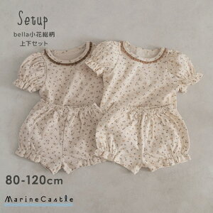 y15SiP5{zTVc ̎q Y{ ㉺Zbg ؍q LbY i` ؍ q V[gpc ZbgAbv t  [EFA t ԕ    pW