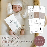 マンスリーカード 足形 手形 送料無料 44種類 22枚 リバーシブル シンプル ニュアンスカラー 月齢カード …
