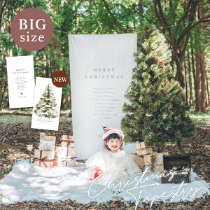 NX}X^yXg[ NX}X ^yXg[ 傫 BIG c   c[  킢 p[eB X^WI o[  fR[V Vv tHgu[X p 