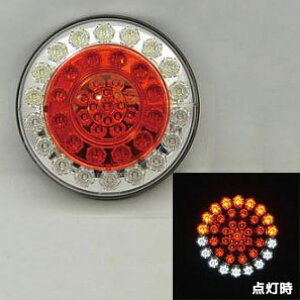 TIGHT JAPANi^CgWpjEhLEDe[v 1@*p[c