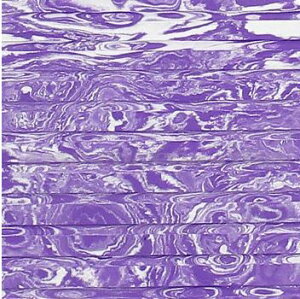 HYDRO-TURFgNV}bgie[vtjJbgO[u@p[v}[uTCYF101×157cmLZsE㕥 s