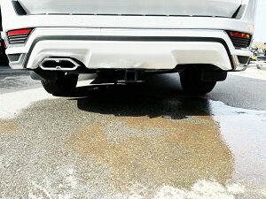 hN[U[300nfX^GApqb`o[ {̂̂݁@i{[}EgEzȂj*N300 fX^GA@ʑ