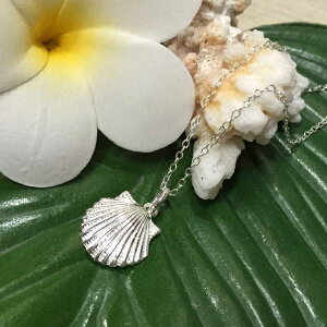 ySS SiőP23{ zz nCAWG[ Vo[`F[ty_glbNX VF Vo[925 fB[X NX}X Mtg a LO v[g 킢 