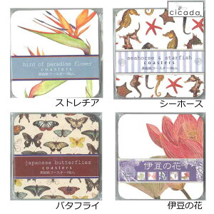 ySS SiőP23{ zz cicada R[X^[5Zbg ^cmIgVS Xg`A 