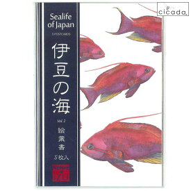 【お盆も毎日出荷】 cicada シカダ 5枚入り絵葉書 伊豆の海 Vol.2 Sealife of Japan ポストカード ハタタテハゼ キンギョハナダイ ハナミノカサゴ ユカタハタ ヒブダイ ラッセル ウィルス Russel Willis