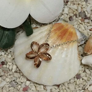 ySS SiőP23{ zz nCAWG[ `F[ty_glbNX t[ sNVo[ fB[X NX}X Mtg a LO v[g 킢 X