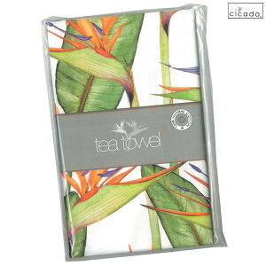 y_tf[ Si |Cg 5{z cicada VJ_ eB[^I ʂ Xg`A e[uNX ԕ gsJt[ Ɋy Mtg v[g Lb` ^I  