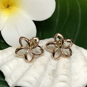 y30 Si |Cg 2{z 14lbNX nCAWG[ 14k Lb`sAX vA nCAANZT[ NX}XMtg v[g a LO fB[X