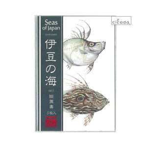 �y20�� �S���i �|�C���g 2�{�z cicada �V�J�_ 5������G�t�� �ɓ��̊C Vol.3 Seas of Japan �|�X�g�J�[�h �}�C���V �J�K�~�_�C �}�g�E�_�C �}�T�o �E�}�d���A�W �u�� ���b�Z�� �E�B���X Russel Willis �� 