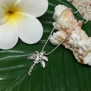 ySS SiőP23{ zz nCAWG[ lbNX `F[t y_g p[c[ Vo[ NX}XMtg a LO v[g 킢  V̖ Silv