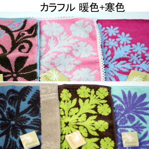 【30日 全商品 ポイント 2倍】 みかんワイン【辛口】 ニューサマーオレンジのお酒 ミニタオル マウナロア マカダミアナッツ セット 送料無料 伊豆 名産 静岡 お土産 父の日 母の日 お中元 御