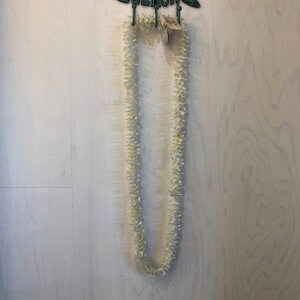 yubNtCf[ Si Pő25{z yiz t_X nC OC zCg 144cm nCAG nC yY ԏ CeA fBXvC t_Xߑ C n