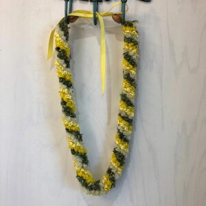 yubNtCf[ Si Pő25{z yiz t_X nC C 68cm nCAG nC yY ԏ CeA fBXvC