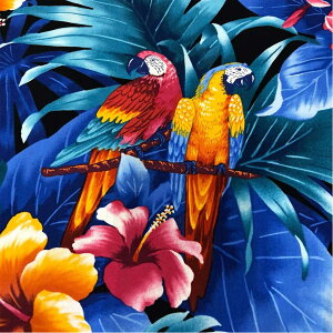 y15 SiP2{z nCAn CR&V̗t Rbg vA nCrXJX ubN u[ bh 3m܂ł䂤pPbgΉ Parrot Palm Leaves Cotton pEXJ[g Rbg100% J[