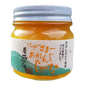 楽天市場 ニューサマーオレンジ ジャムの通販