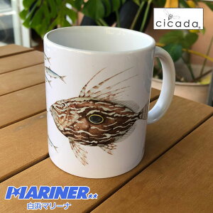 ySS SiőP23{ zz cicada VJ_  }OJbv  bZEEBX eB[Jbv R[q[Jbv Mtg v[g  킢 {̋ }gE_C CV F 