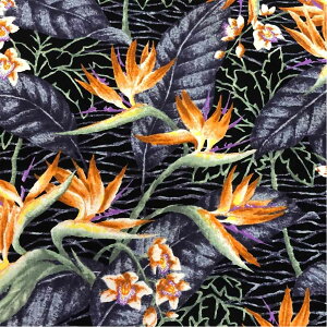 y30 Si |Cg 2{z nCAn Ɋy   IW Rbg100  z pEXJ[gn J[en xbgJo[n o[hEIuEp_CX Bird of paradise z