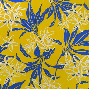 y30 Si |Cg 2{z nCAn CG[ vA eB[t 썑 gsJ pEXJ[gn |GXe  |Rbg 3m܂ł䂤pPbgΉ J[en xb