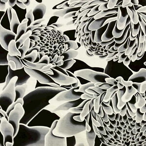 yubNtCf[ Si Pő25{z nCAn ubN ItzCg g[`WW[ veA pEXJ[gn J[en xbgJo[n  Vu XX 