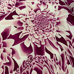 yubNtCf[ Si Pő25{z nCAn v ItzCg g[`WW[ veA pEXJ[gn J[en xbgJo[n  Vu XX 