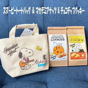 ySS SiőP23{ zz Mtg Xk[s[g[gobOZbg2 Hawaiian Host }Jf~Aibc `R`bvNbL[ MtgZbg nCyY v`Mtg o^Cf[ zC