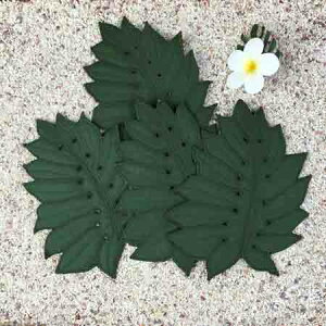 yubNtCf[ Si Pő25{z XeR[X^[4Zbg nCALg Hawaiian Quilt Lb`ObY nCAG CeA