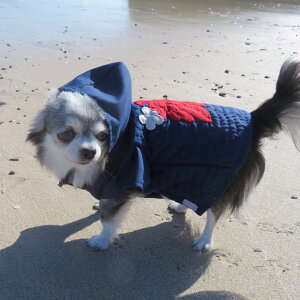 y15 Si |Cg 2{z  nCALg hbOEFA p[J[ ybgpi  ^ p  EFA hbOEGA ̕ ̎q ̕ ʌ lC XX IV 