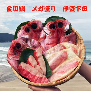 y_tf[ Si |Cg 5{z ysz Zbg 1  ڑ K  Ђ́XЂ lߍ킹  ؑ]X ɓ c Y Y  É O