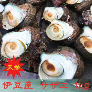 y}\ Pő23{ N[|z ysz 1kg ɓY c ɓ  ܂  1  Y  É hg xĂ  Yn   O