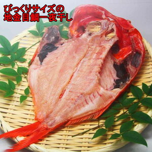 ڑ銱 30`35cm 2`3lO Ⓚ O yY ɓc c`Y VN nӐY L   { g Hi N[ Ε hV̓ Mtg v[g p j 