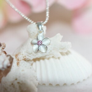 ySS SiőP23{ zz nCAWG[ lbNX Vo[ vA WRjA sN Hawaiian Jewelry nCAANZT[ NX}X a LO v[g f