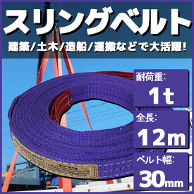 スリングベルト 玉掛け 帯 牽引ベルト 12m 幅30mm 耐荷重1t ベルトスリング 繊維ベルト 吊りベルト クレーンベルト 帯ベルト 吊り上げ ナイロンスリング 建設機械 船舶 運搬作業 ポリエステル素材 土木 農林業 造船 牽引 板金塗装 吊る レッカー フレーム修正