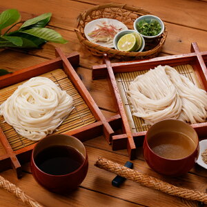 y낤ǂz낤ǂ ǂ 퉷 Mtg 艄ז