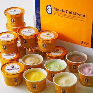 y Ε a oYj z WF[g X }IWFeA [ sA`F[Zbg ]  ŒZ͂ w ACX Mtg lߍ킹 蕨 p v[g o[Xf