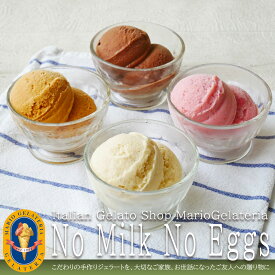 【 バレンタイン 誕生日 出産内祝 】 ジェラート 専門店 マリオジェラテリア [ 乳 卵 不使用 セット ] 送料無料 あす楽 日時指定 アイス ギフト 詰め合わせ 贈り物 プレゼント バースデー 内祝 人気 取り寄せ ヴィーガン ビーガン