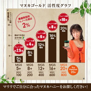 マヌカハニーMGS12+【初回お試し】はちみつMG(メチルグリオキサール)400+250g【送料無料】【あす楽】生はちみつマリリニュージーランド無添加非加熱マヌカはちみつハチミツ蜂蜜【お一人様1回限り】【MGS認定証&試験分析書付き】