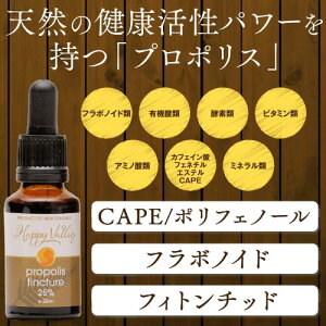 【過去にご購入履歴のある方でもOK】