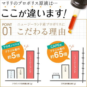 (スポイト内蔵)