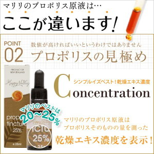 乾燥エキス濃度25%