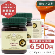 【定期購入価格の期間限定販売】 マヌカハニー 12+ 250g 2本 【今なら250gあたり3250円】モラン博士直系 …
