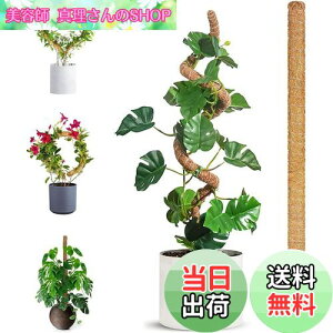 yzXe x 1 pbN 120 Z`, wSxCӂ̌`ɋȂ邱Ƃł܂