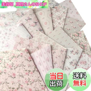 yzTOHYAN A4 ʃfUCy[p[ sNnԕ o ㎿90 fU  1050 { J[ fUCp R[W bsOy[p[ {^jJ GKg t