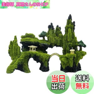 yzCharmoon  IuWF ANAE  R  U B VF^[  ͌^ u I[ig (O[)