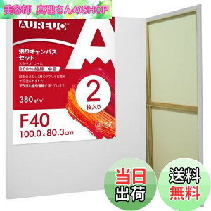 yzAUREUO LoX Zbg F40 (100cmX80.3cm)  100Rbg 2 S Gp |pGn G p ʉEGEANp