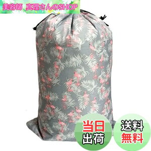 yzFutakuchi  В ^ 񂿂Ⴍ В TCY 񂿂Ⴍ  В|[` [ sp |[` Gꂽ  [|[` gx|[` s |[` ho C 