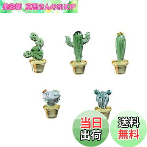 �y���������zMollytek ���킢������K���X�׍H�K ���X �T�{�e�� �K���X �u�� �~�j ��l�� �����K���X �u�� �J�N�^�X �K���X ���A�� �ԓ��u���� 5���� �B�e ������ ���蕨