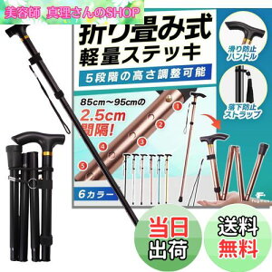 yzyŌtďCzfogman  ܂肽 y XebL  j   Lk 5iK (ubN)