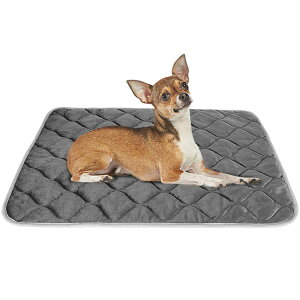 yzzbg}bg ybgp xbh }bg L  }bg g ybgpۉ}bg 􂦂 Iۉ ̉Œ~M h ΍ ӂӂ iO[ M:70*48cmj